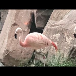 Meet your Posher, Vickie